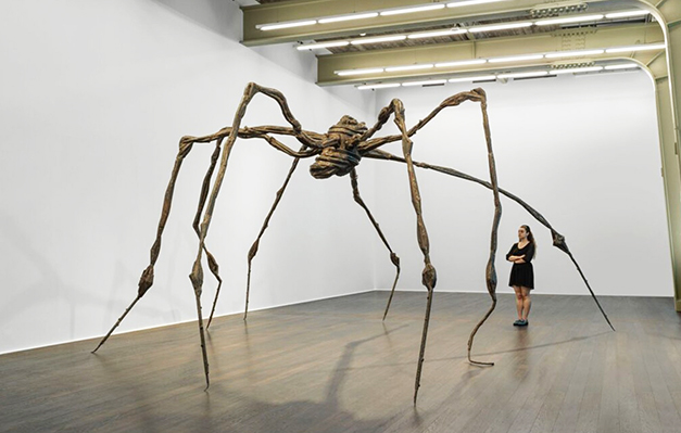 spider.jpg