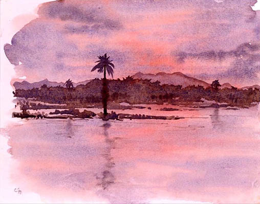 p2.jpg