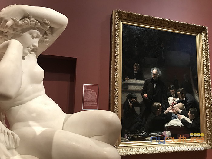 IMG_8364.jpg