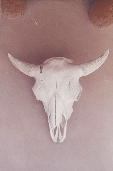 23_OKeeffe-Skull-Ghost-Ranch.jpeg