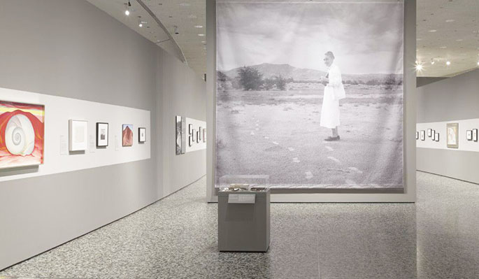 installation-view-georgia-okeeffe-photographer.11623145634508100271.jpg