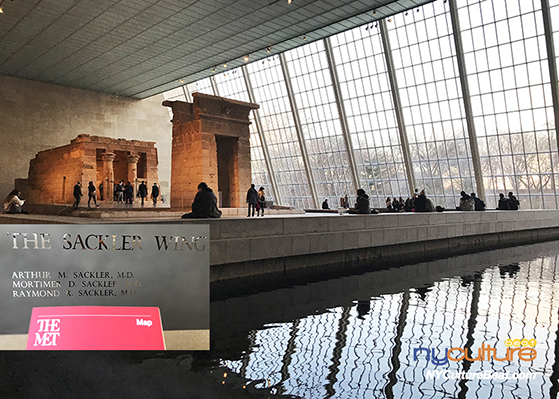 metmuseum.jpg