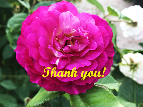 thankyou-dr.chung.jpg