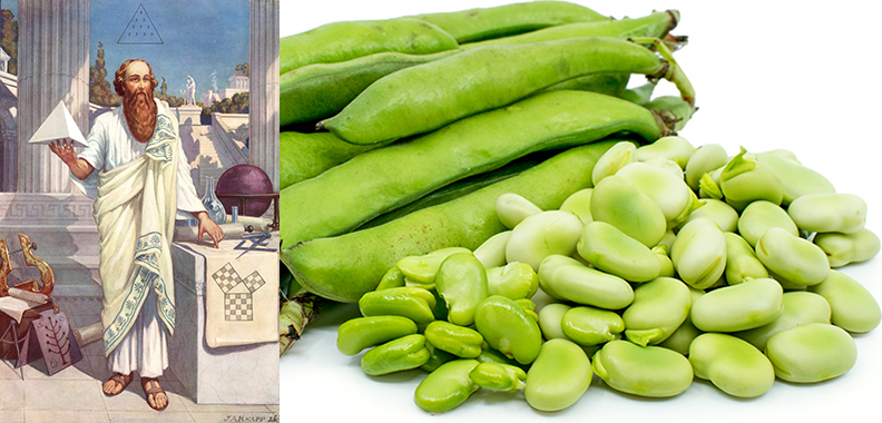 0pythagoras-favabeans.jpg