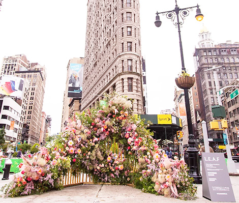 flowershow2.jpg