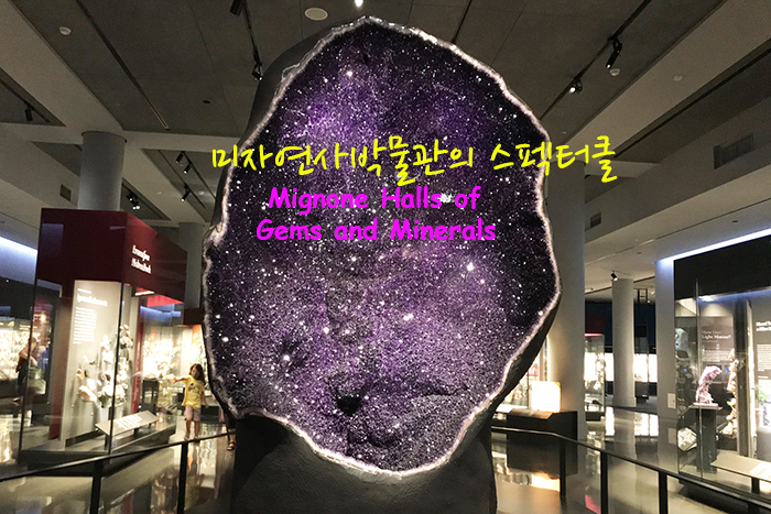 00001.jpg