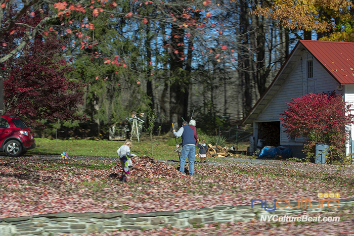 YMJN3893.jpg