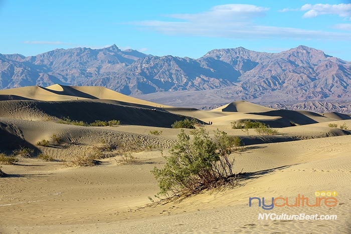 Mesquite Flat Sand DunesYMJN2467.jpg