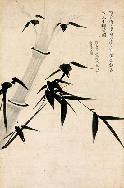 bamboo1.jpg
