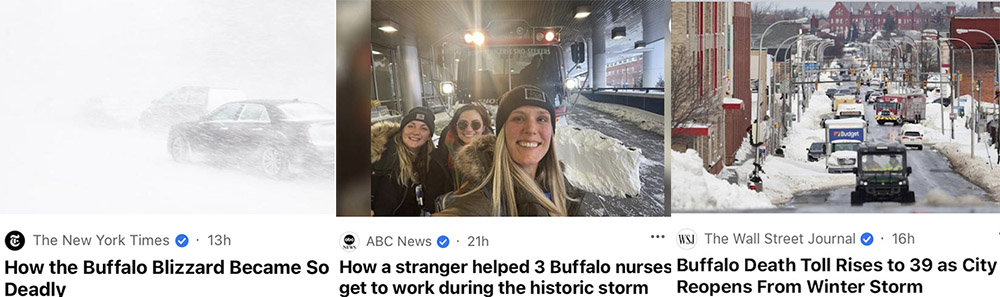 buffalo-snow.jpg