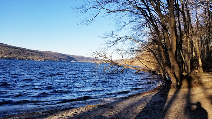 winter lake.jpg
