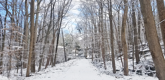 snow at park.jpg