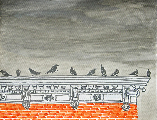 bird000.jpg