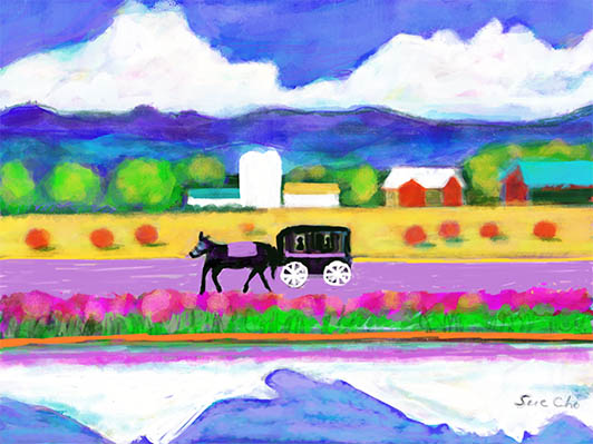 amish-J.jpg