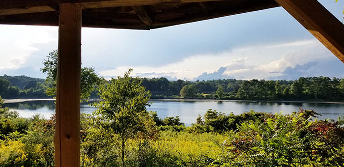 20190902_180137.jpg