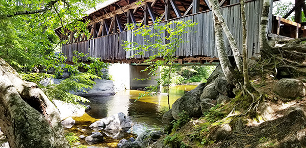 20190628_124515 (1).jpg