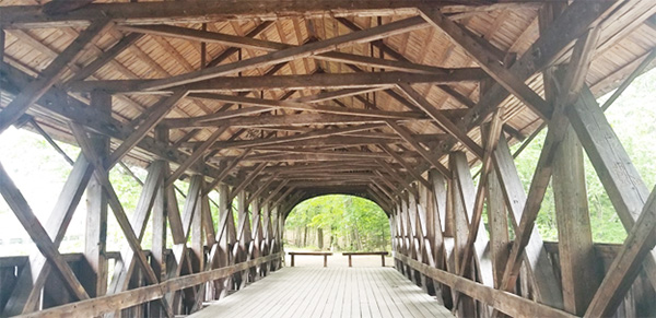 bridge1.jpg