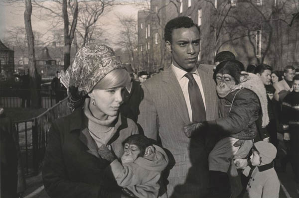 0013. Central Park Zoo, New York_Winogrand (2).jpg