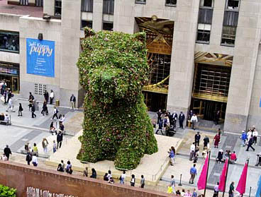 4-jeff-koons-puppy_650_20130610.jpg