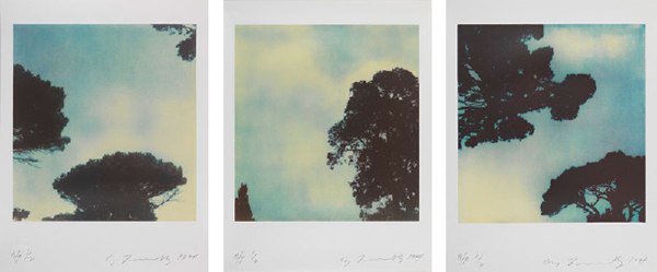 cy-twombly-trees-1994.jpg