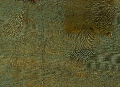 000For print only_high-res image_Leonardo St Jerome-173.jpg