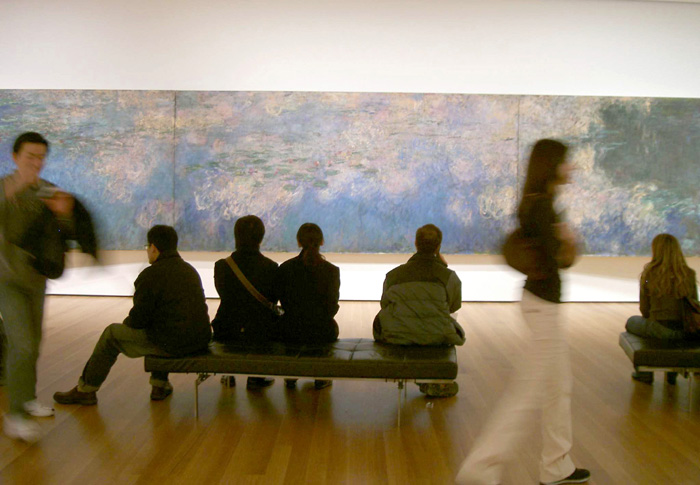 moma-waterlily2.jpg