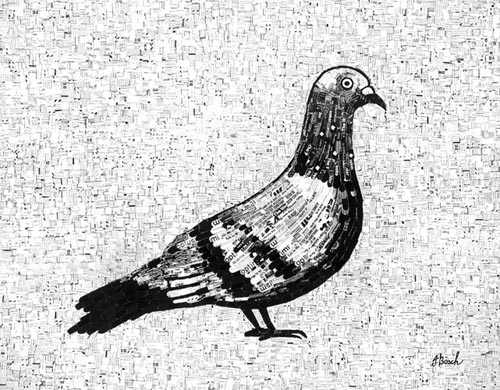 pigeon-2012.jpg