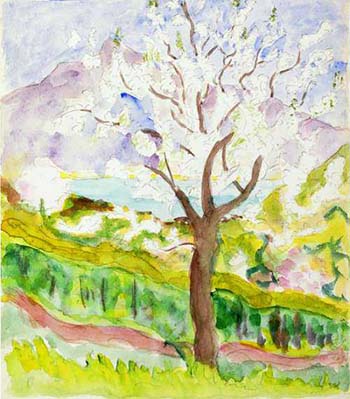 gallery_24.jpg