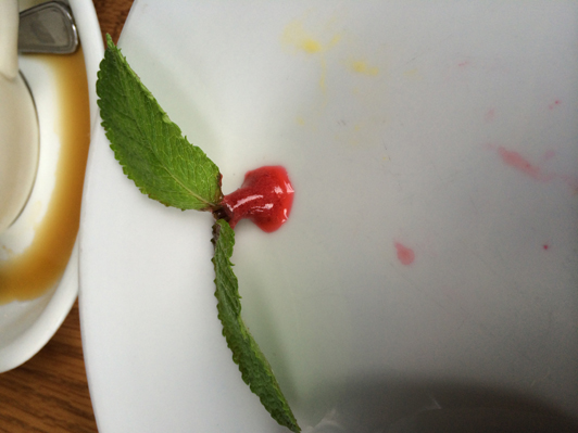 Raspberry Sorbet Garnish_Pier 115 Bar&Grill (2).jpg