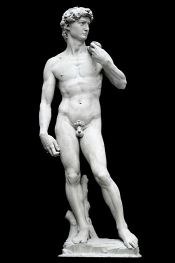 00000002007BM5740_michelangelo_david_plaster_cast.jpg