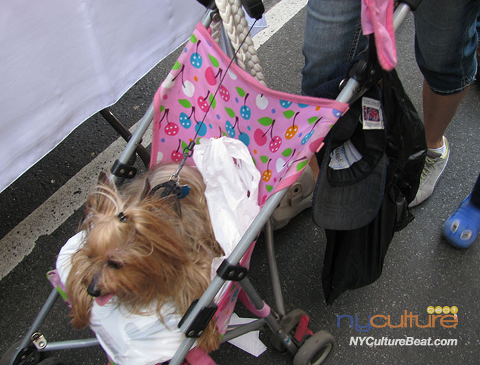 0IMG_2786.jpg