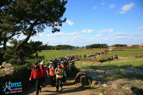 제주올레걷기축제1(4).jpg