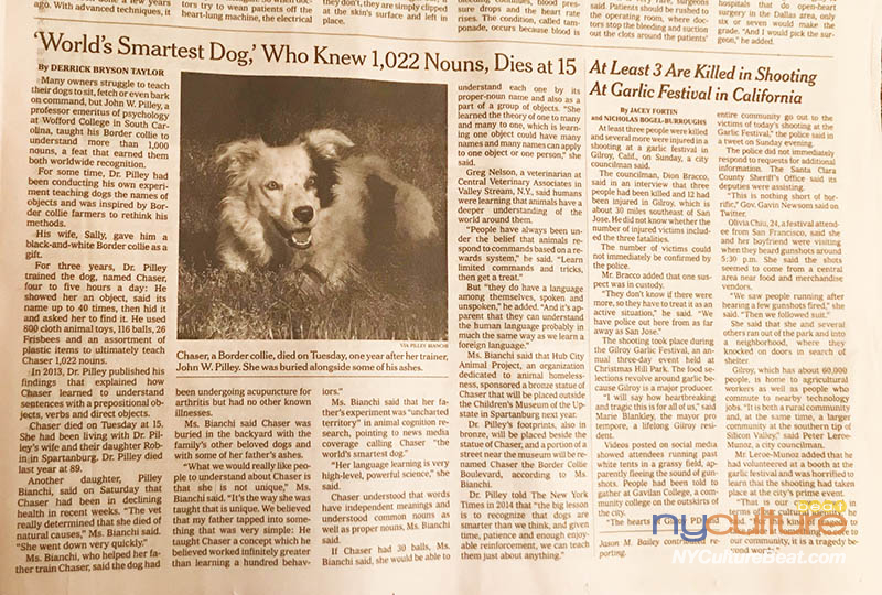 Border Collie Trained to Recognize 1,022 Nouns Dies - The New York Times