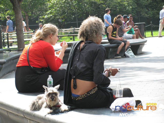 dog-washington-square (3).jpg