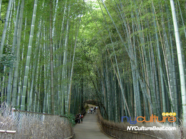 kyoto-arashiyama-bambooforest3.jpg