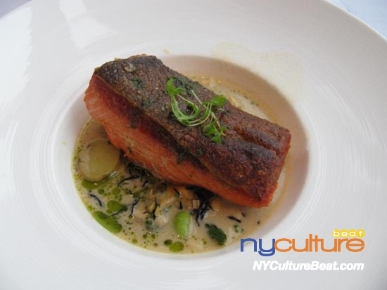 assiate-wildtrout.jpg