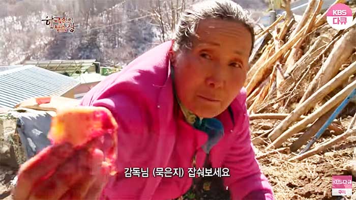 묵은지2.jpg