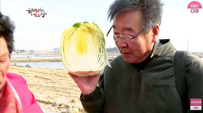 묵은지1.jpg