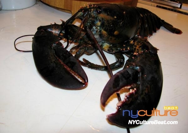 lobster2.jpg