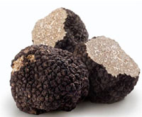 blacktruffle.jpg