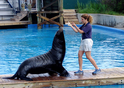 newyorkaquarium.jpg