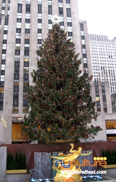 christmastree-rock7.jpg