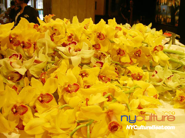 orchid3.jpg