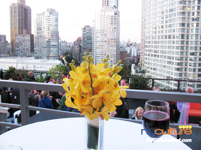 5roof-top-bar.jpg