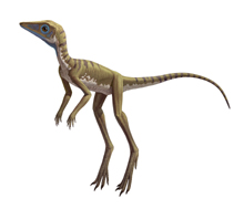 9.Scleromochlus.jpg