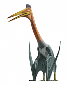 5.Quetzalcoatlus.jpg