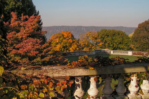 wave-hill-fall-foliage-walk-credit-wave-hill-3.jpg__524x349_q85_crop_upscale.jpg