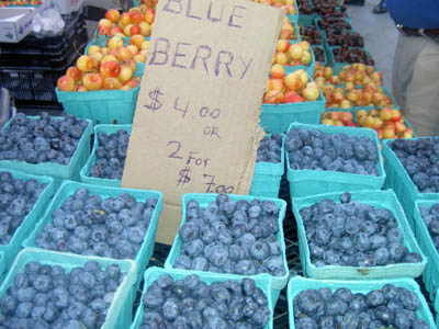 blueberry1.jpg