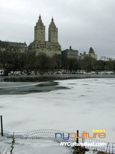 IMG_7650.JPG
