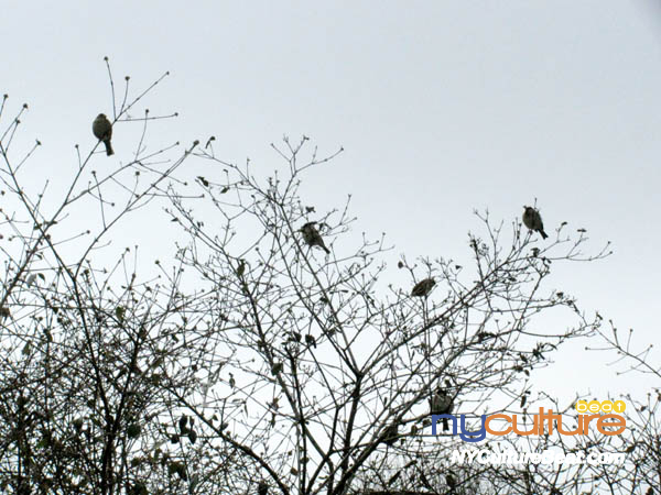 IMG_7636.JPG